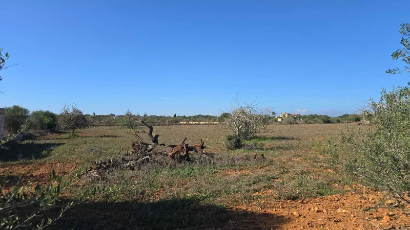 Building plot with approved finca project in Sa Cruta near Porto Cristo — photo 2