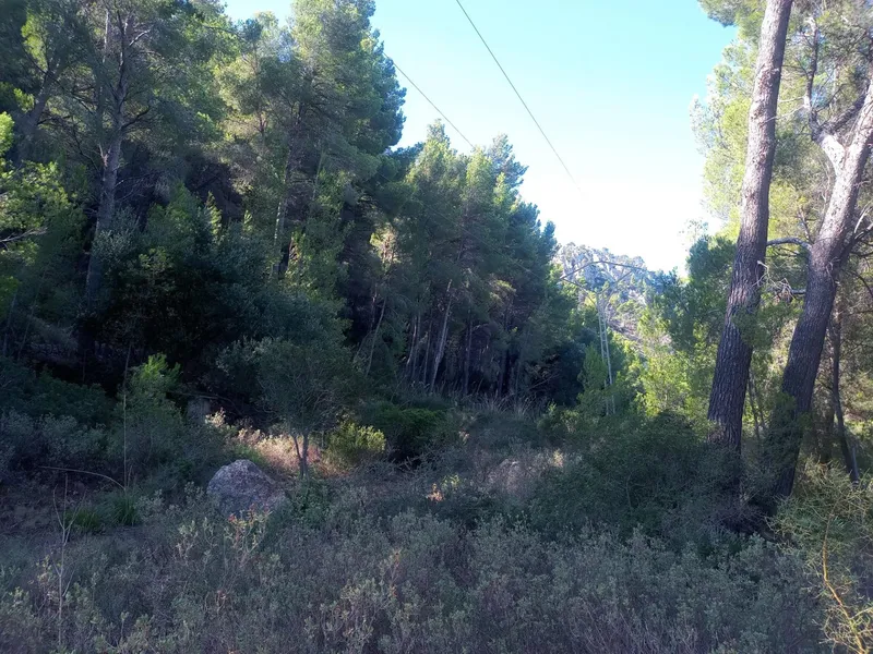Rustic Plot in Son Fortuny – Estellencs, in the Heart of the Serra de Tramuntana — photo 2