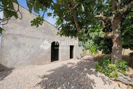 Urbanizable land - Muro (Son Serra), Plot Surface 15,324 m² — photo 1
