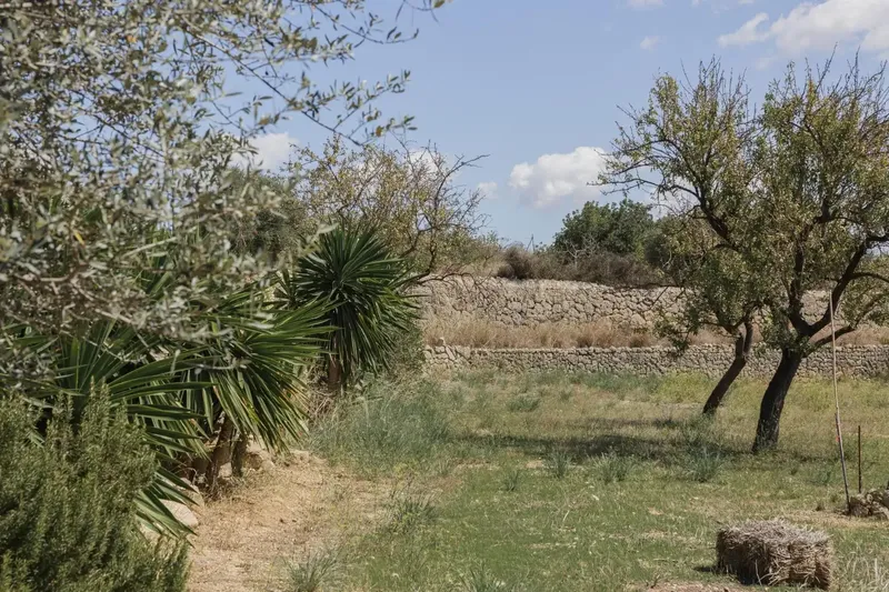 Unique opportunity in Inca, Son Amonda! Ideal for families or investors! — photo 5