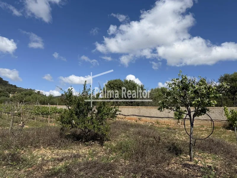Land for sale in Son Servera of 6451 m2 — photo 11