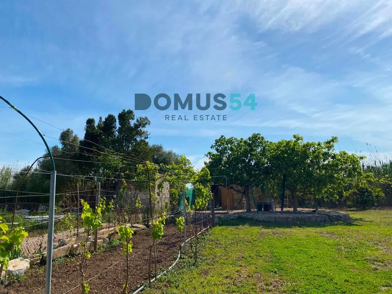 plot in Sa Pobla — photo 7