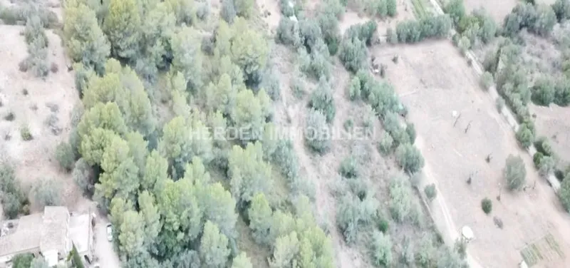 Plot of Land in Son Servera for Sale — photo 11