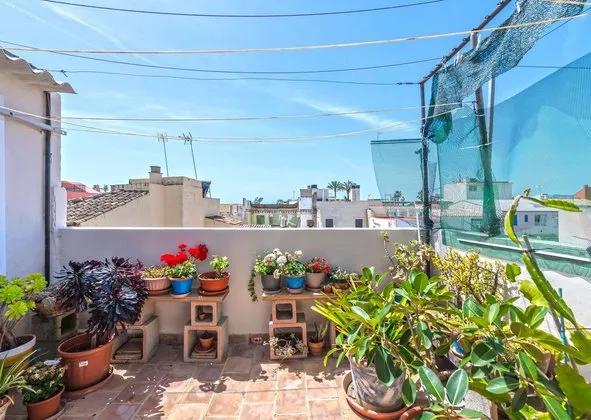 Penthouse in Portixol-Molinar, Palma de Mallorca — photo 2
