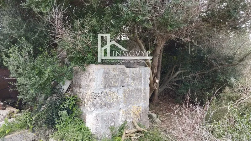 The price of 39,900 euros is for the 3 plots. — photo 1