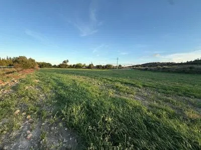 Rural Land - Sant Joan, Plot Surface 2.7892m² — photo 4