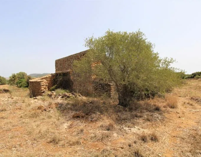 Beautiful rustic finca near the village of Arta — photo 11