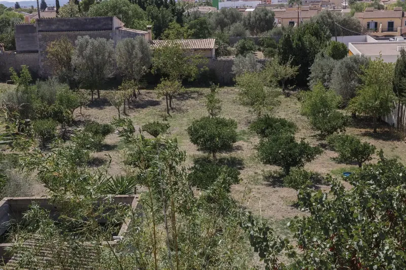 Unique opportunity in Inca, Son Amonda! Ideal for families or investors! — photo 2