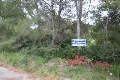 Urban plot for sale in Colonia de Sant Pere — photo 1