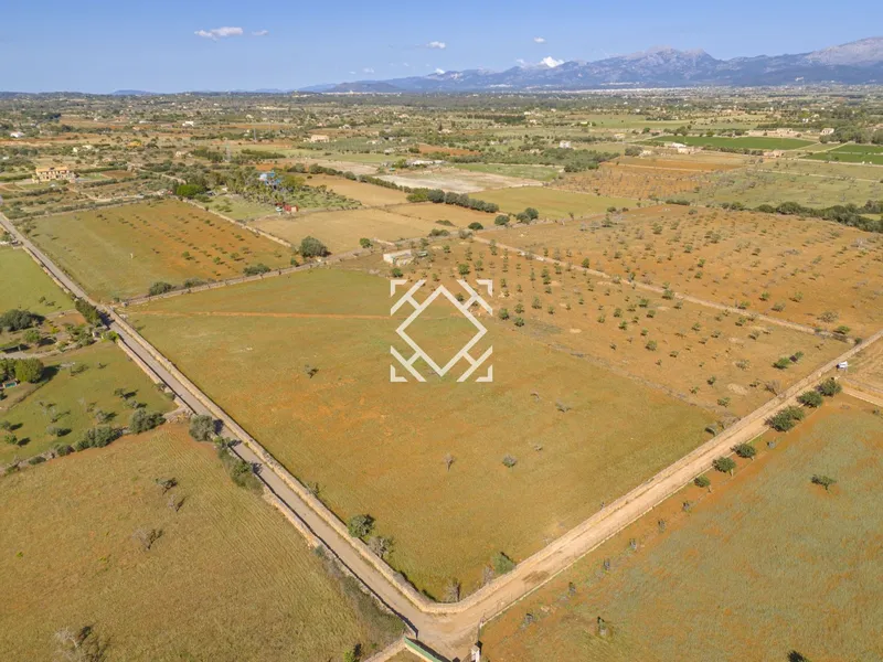 Finca for sale in Santa Margalida, Mallorca — photo 12