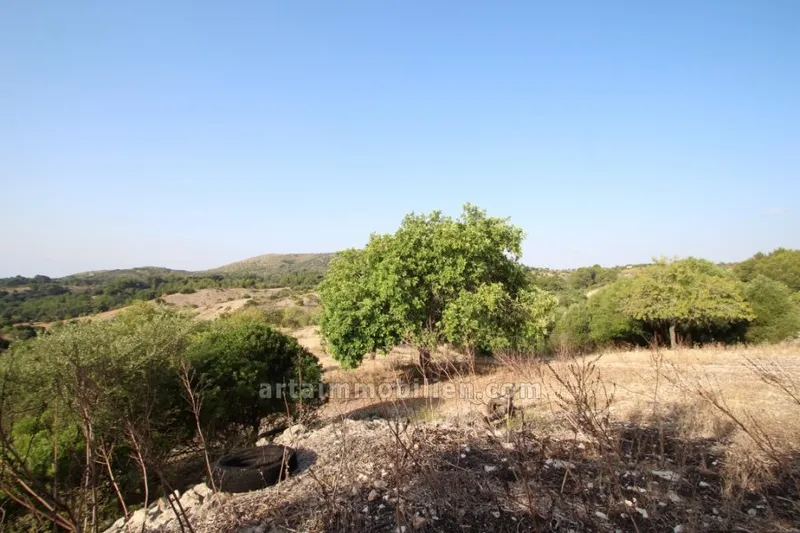 Finca in San Lorenzo — photo 1