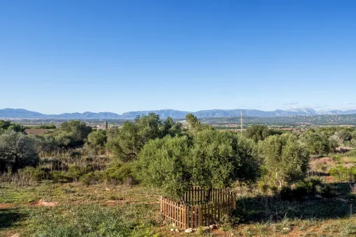 S'Aranjassa, beautiful finca project in S'Aranjassa — photo 5