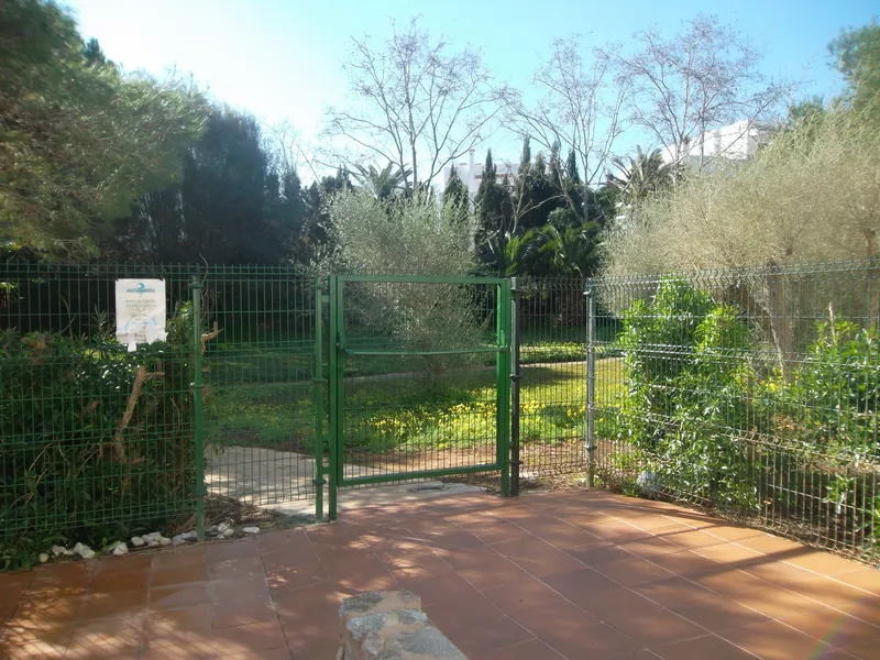 Modern ground floor apartment with communal pool in Cala Dor — AP 33 CM — photo 4