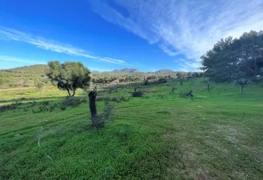 Terreno en Felanitx — photo 6