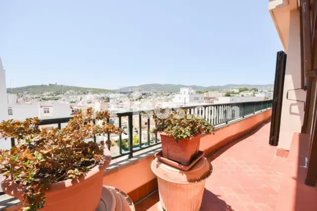 Apartment in Son Espanyolet — photo 1