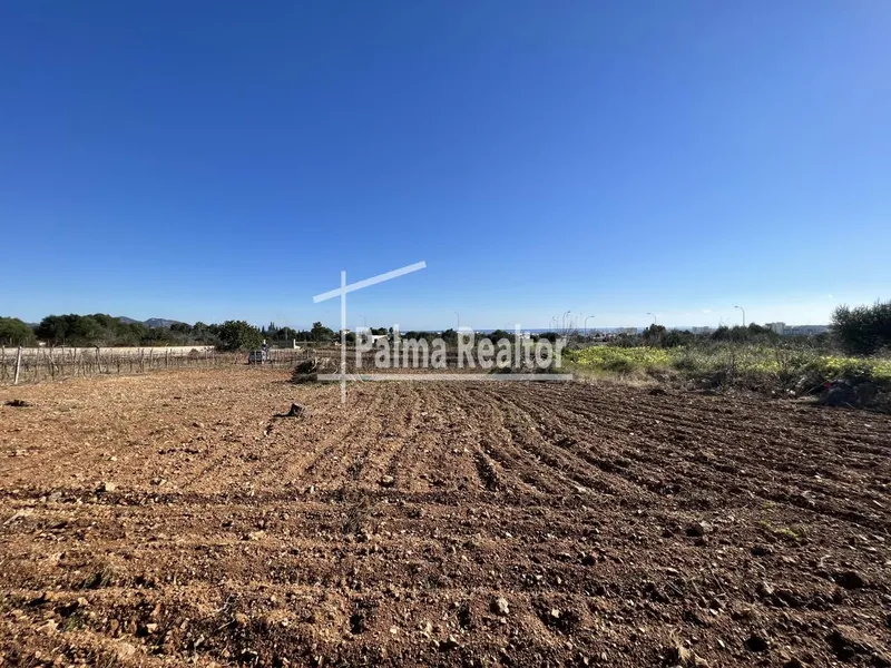 Land for sale in Son Servera of 6451 m2 — photo 4