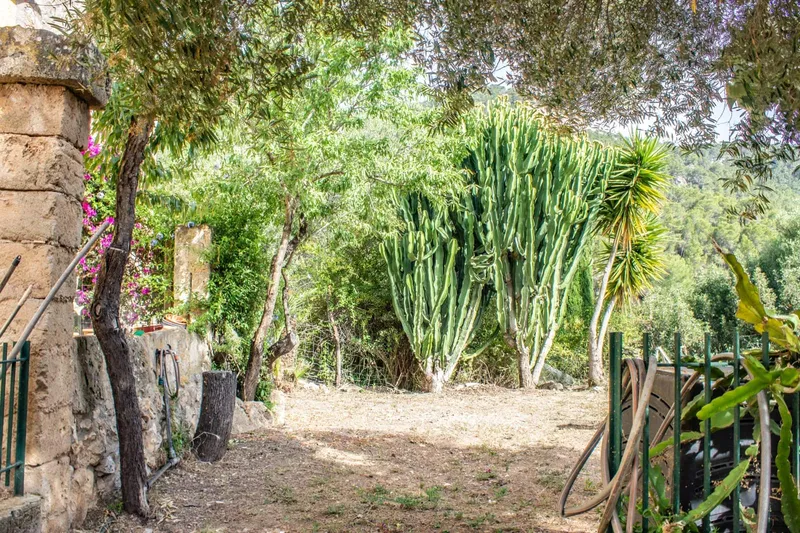 Finca/Country House for sale in Andratx, Mallorca — photo 7