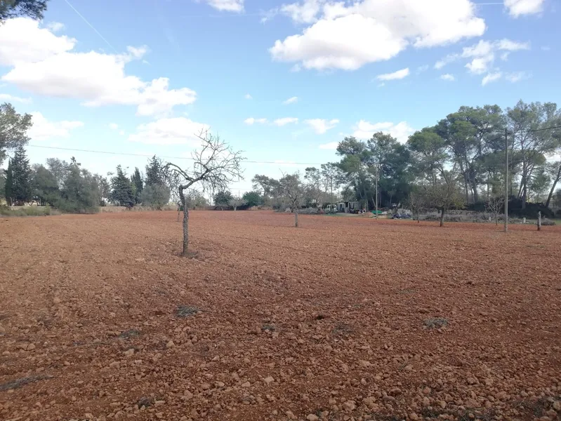 Buildable rustic plot. Fully fenced — photo 12