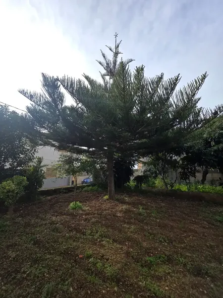 Are you looking for the perfect balance between countryside peace and urban comfort? π‘ We have the property you were waiting for. Located in the co β photo 4
