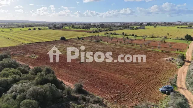 Rustic finca on Es Vinyet street — photo 1