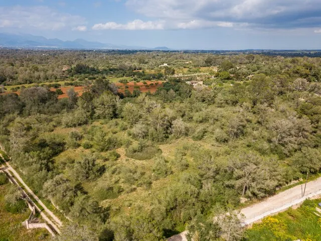 Plot with project and license for sale in a sought-after area of Son Vida, Palma de Mallorca — photo 8