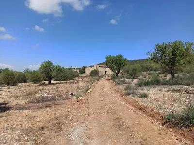 Finca Top Location for Renovation for Sale in Son Macia — photo 5