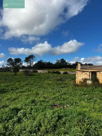 Plot of land - Llubí (Llubi), Plot Surface 14516m² — photo 7