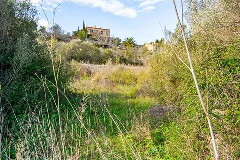 Land in Galilea, Mallorca — photo 1