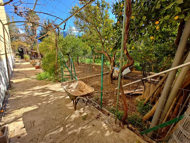 Historic Manor House for Sale in the Heart of Sóller — photo 9