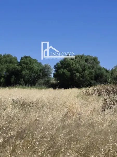 The price of 39,900 euros is for the 3 plots. — photo 8