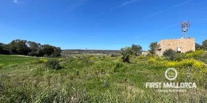 Real estate picture 0 Ref. No. 72041 — photo 1