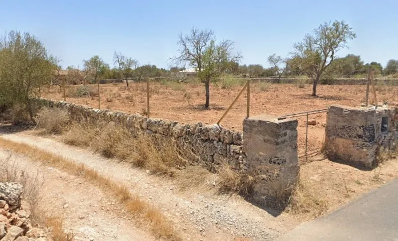 For rent: Plot of 5,000 m² with small house in Santanyí – Ideal for horses — photo 1