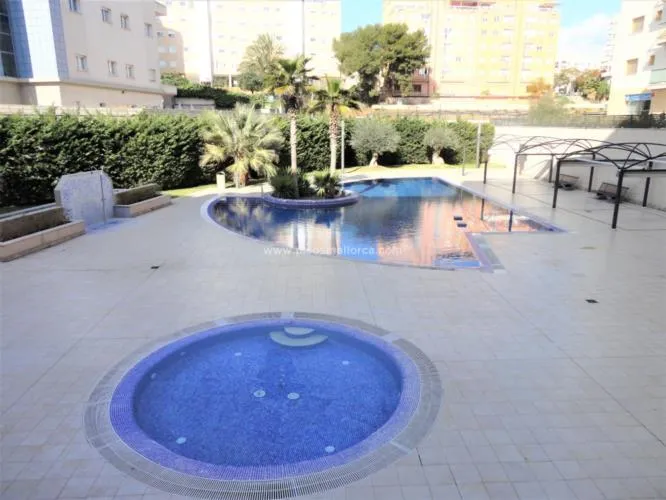 Apartment in Palma de Mallorca, Schools Area — photo 2