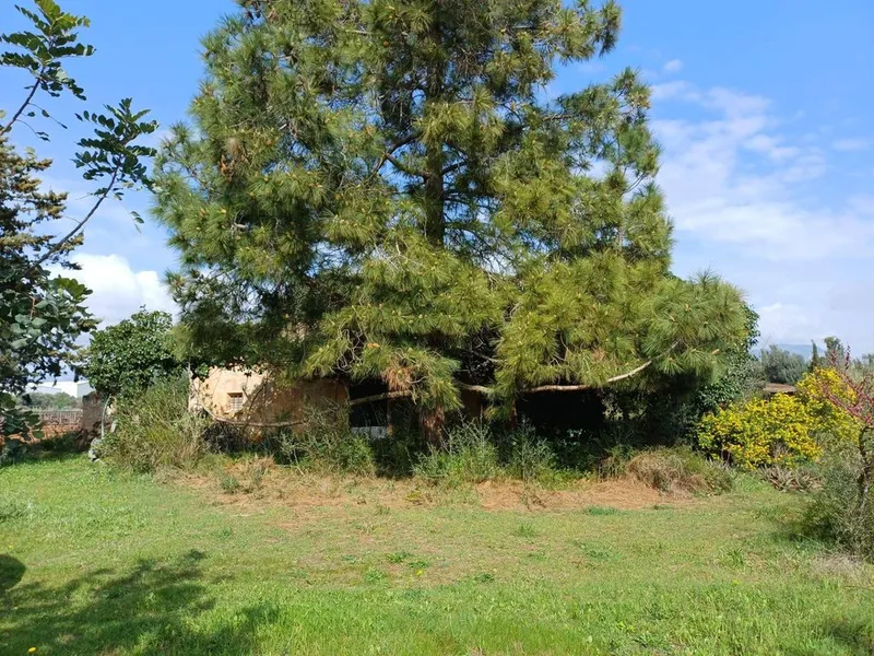 Rural or Farmhouse in Santa Maria del Camí, Province of Balearic Islands — photo 7