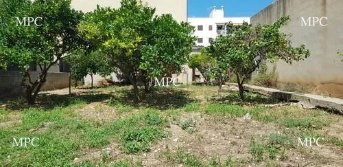 Exclusive Townhouse Building Plot with Approved Basic Project for a Contemporary Mediterranean Home in Arta — photo 1