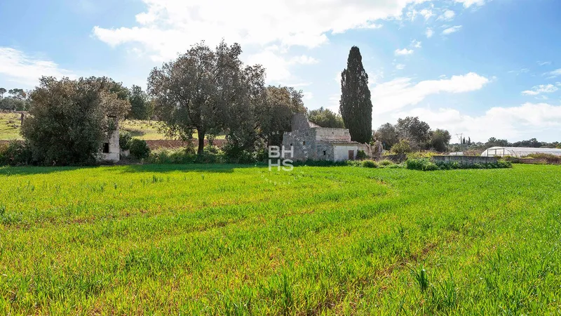 Country plot for sale in Muro — photo 5