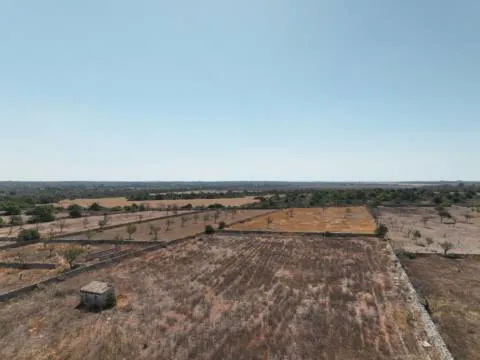 Plot - Ref. 000790 — photo 6