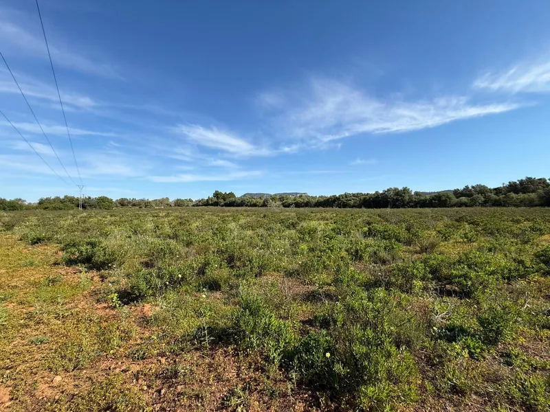Rustic plot with project and favorable resolution in Llucmajor — photo 12
