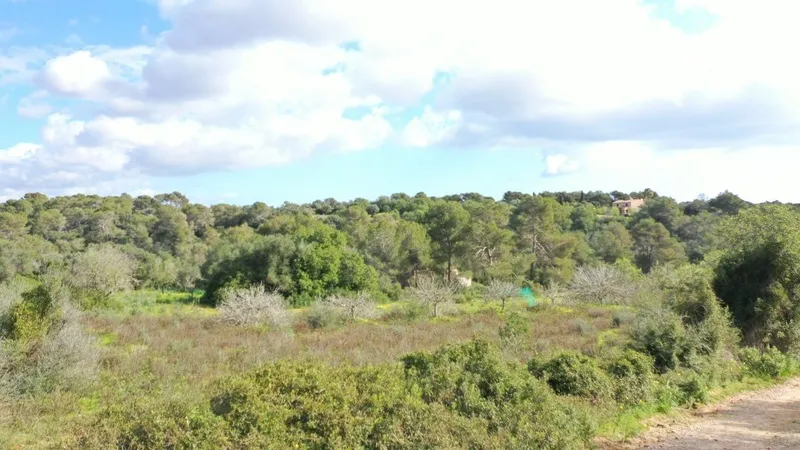 Rustic plot 5 minutes from Porto Petro — photo 7