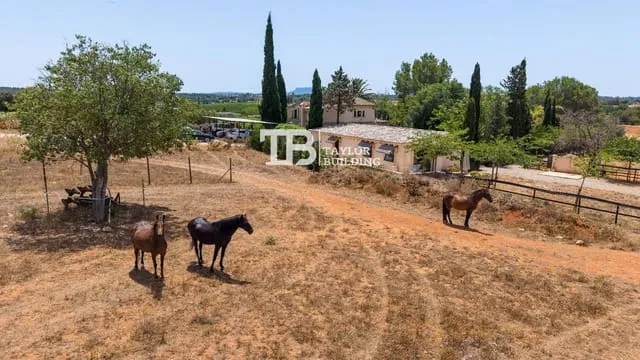 Villa for sale in Sencelles, Mallorca — photo 6