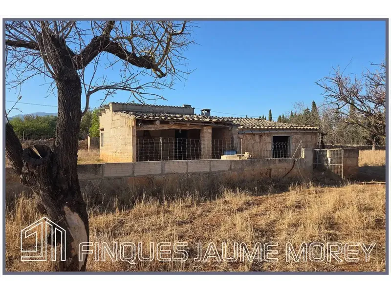 En el municipio de Búger les ofrecemos esta finca rústica de uno 8.000m2 de terreno con una edificación agraria existente de unos 240m2 apro — photo 2