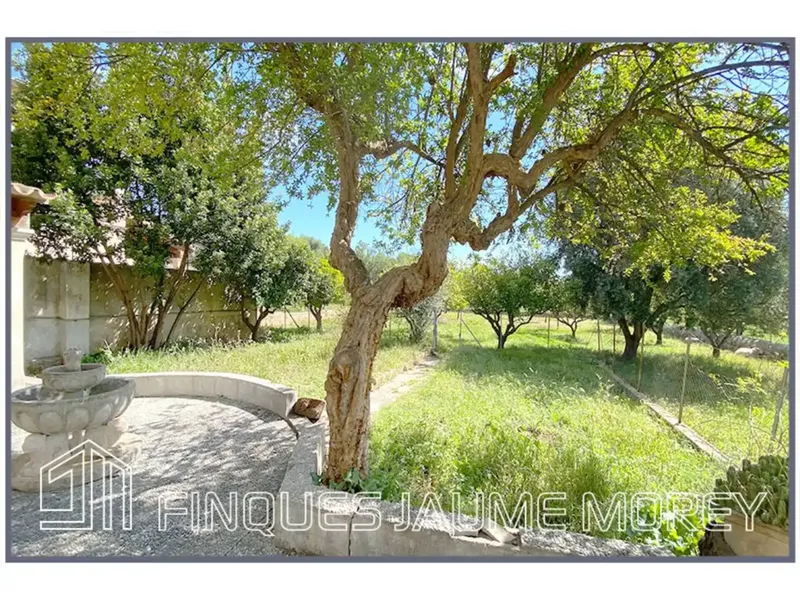 Si buscas tranquilidad en uno de los mejores pueblos de la isla situado a los pies de la sierra de Tramuntana, esta es la casa que estabas b — photo 11