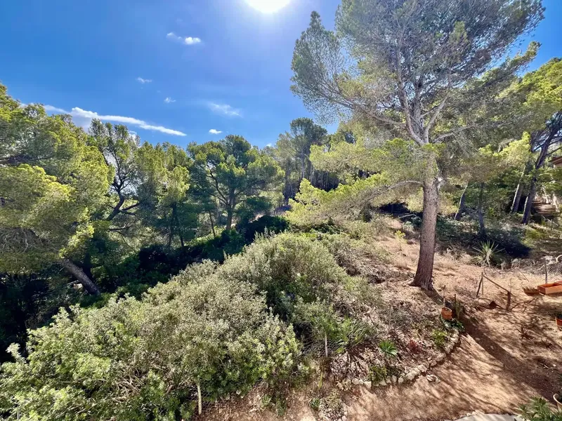 Apartment in Sant Elm with sea views — photo 9