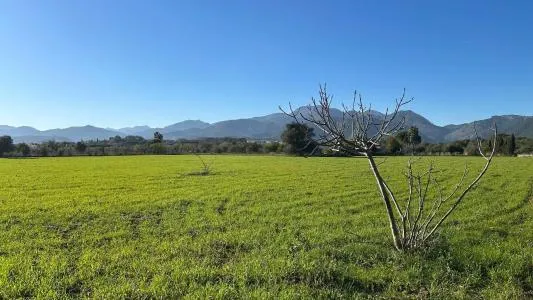 Plot of land - Selva, Plot Surface 14711m² — photo 4