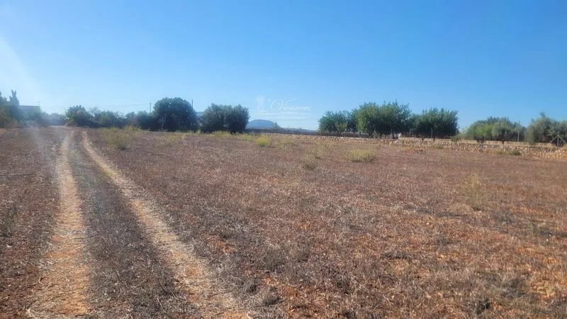 Plot — photo 1