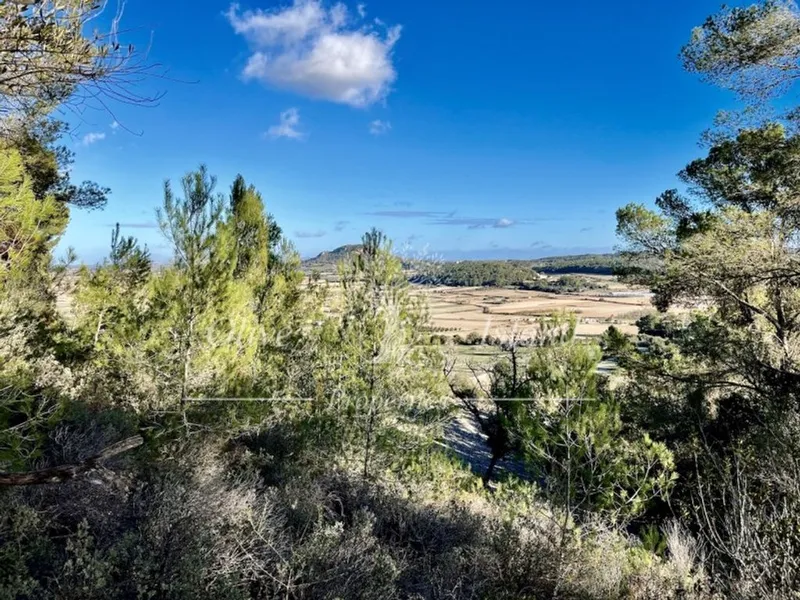 Villa in Sineu, Province of Balearic Islands — photo 8
