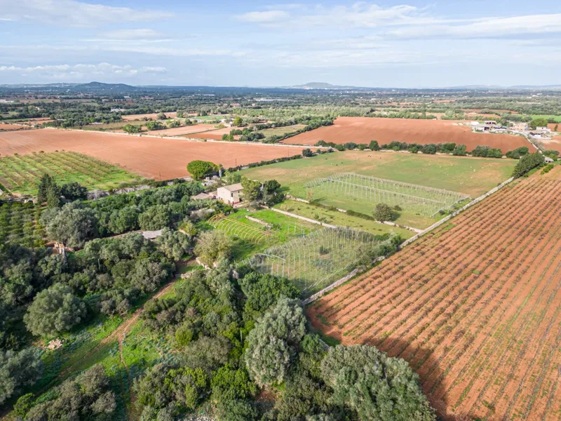 Magnificent rustic estate in the Porreres area — photo 3