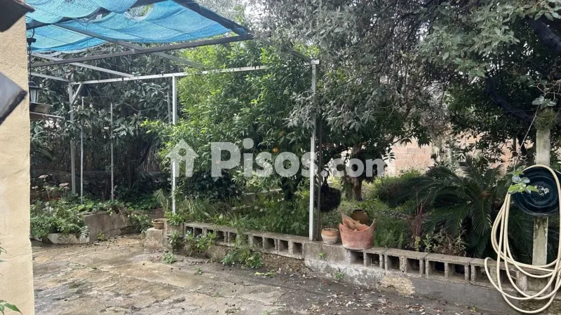 House in Selva — photo 2