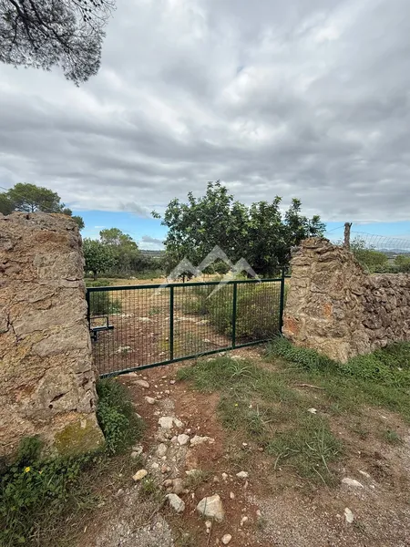 Plot of 41,670 m² with project for house with pool in Manacor — photo 11