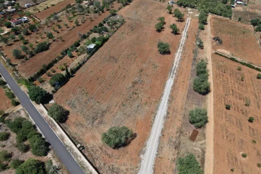 Campos: Exclusive new-build high-end finca with pool on large plot near Campos — photo 9